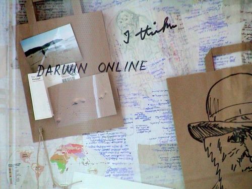 00 zadni darwin 004