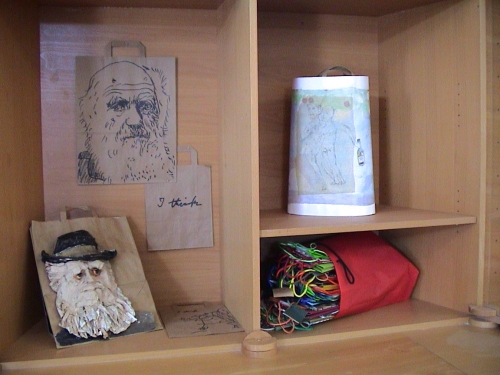17 zadni darwin 135